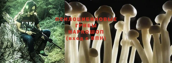PSILOCYBIN Балабаново