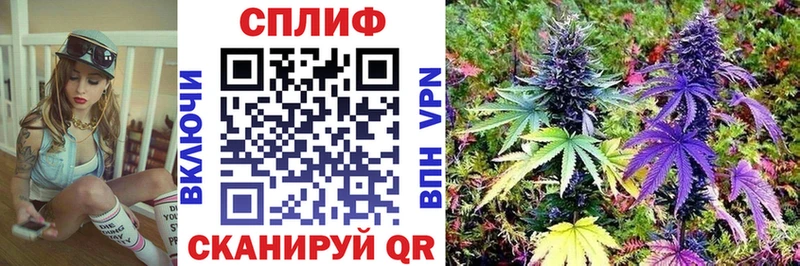 Бошки Шишки марихуана  даркнет сайт  kraken   Боготол 